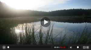 flash-video-player-design flash-video-player-design